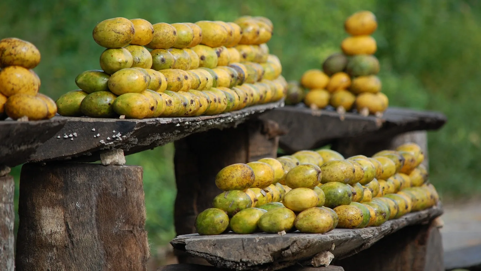 Petits pots, fruits et alimentation de diversification sur place