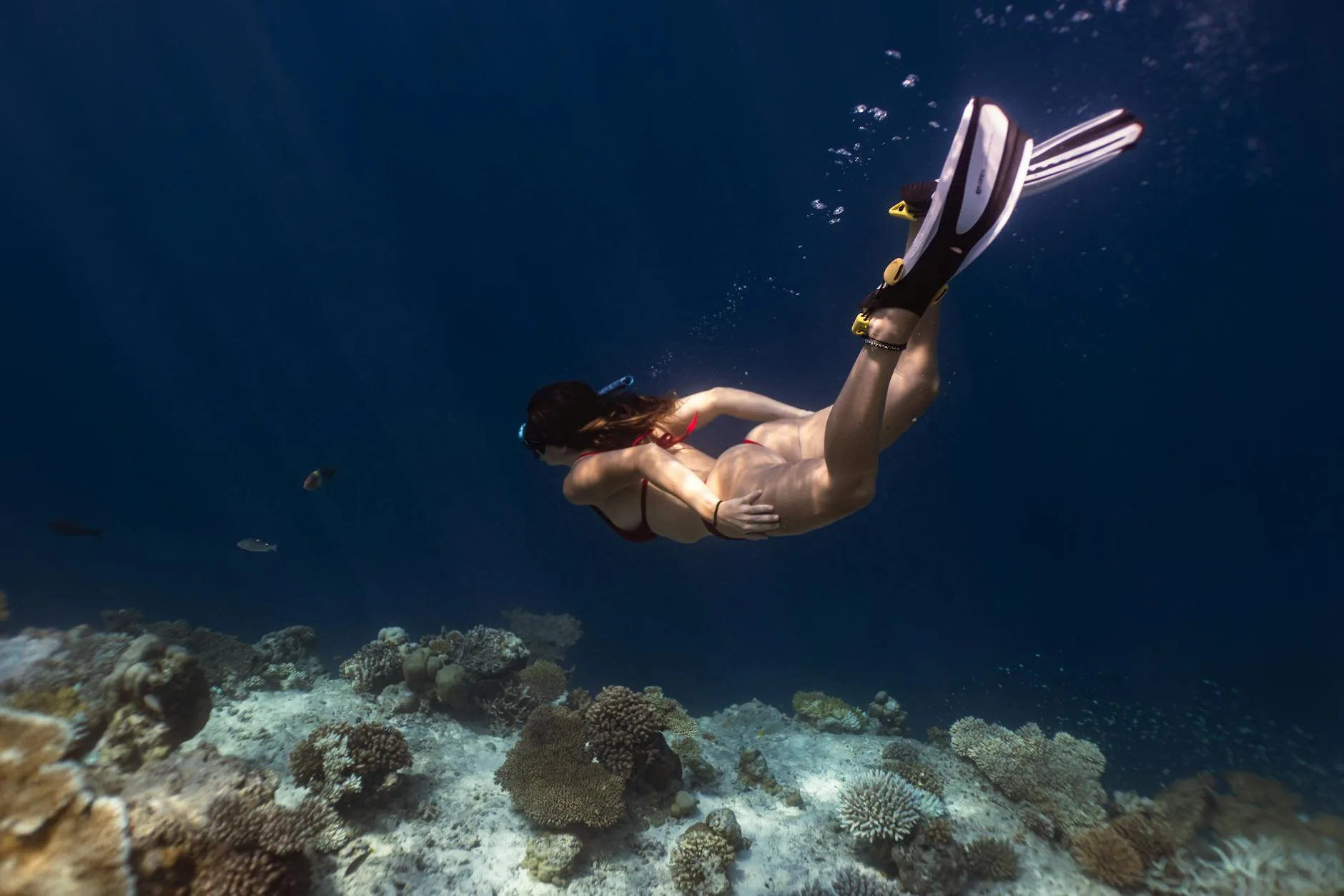 Plongée et snorkeling à Nungwi